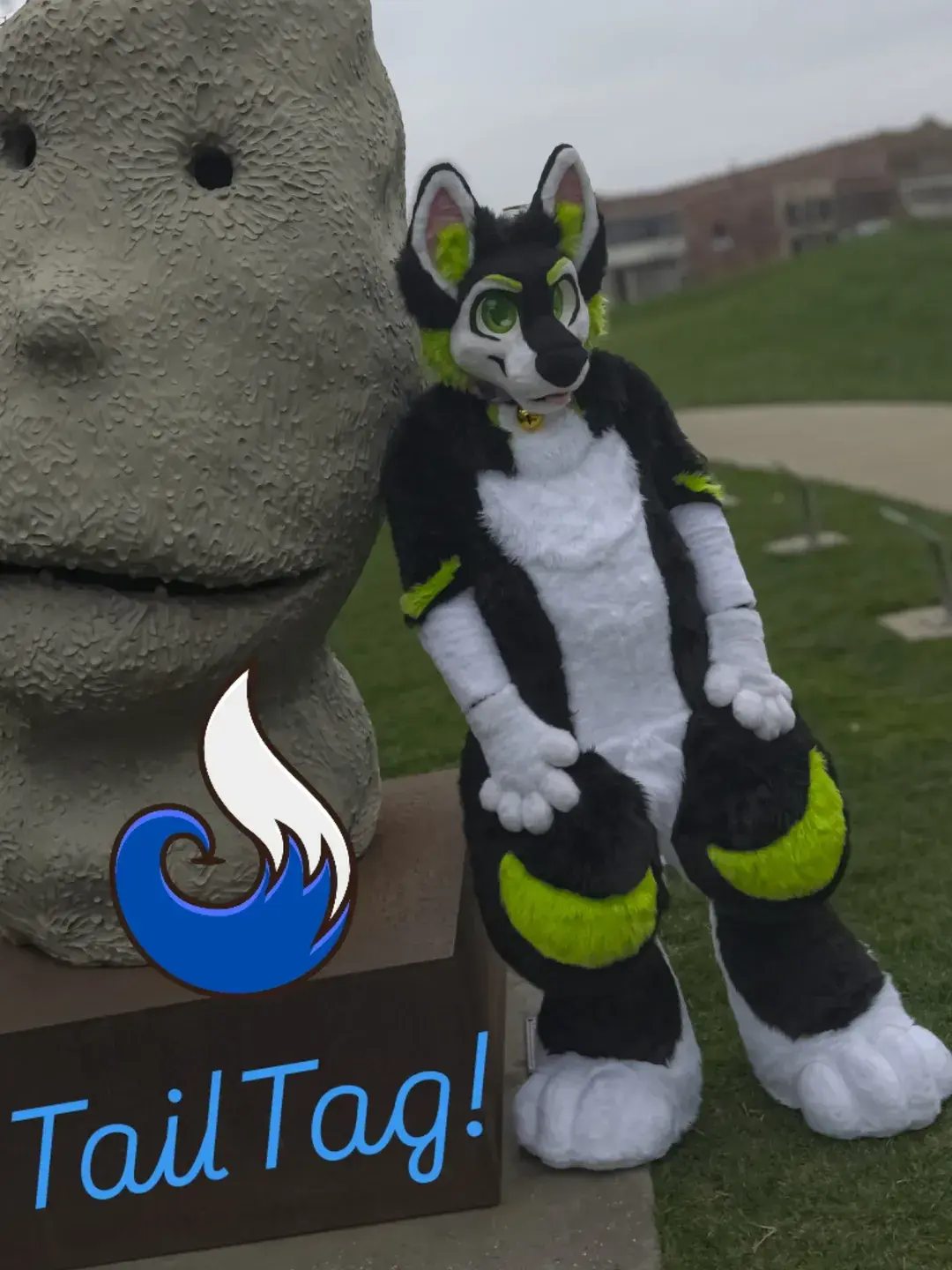 A black, white, green husky fursuiter leaving against a giant emotionless face statue. Overlayed is the TailTag logo with the text "TailTag!"